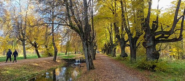 ��� ���������� ���������� ������� �� ��� ����� �������� �����