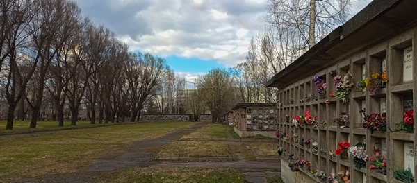 ��� ���������� ���������� ������� �� ��� ����� �������� �����